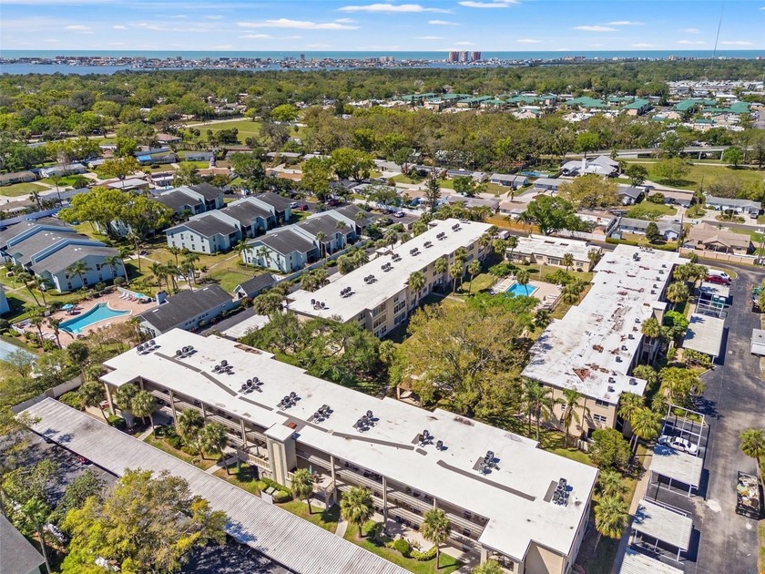 Turnkey 2-Bedroom Condo in 55+ Seminole Square - Move-In Ready! - Beach Condo for sale in Seminole, Florida on Beachhouse.com