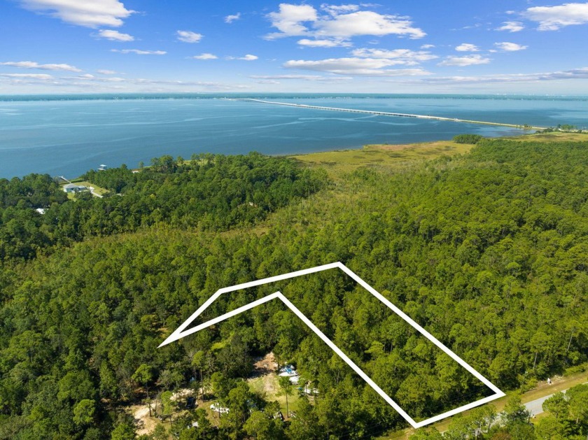 Privacy, Acreage, and nature - this parcel has it all with - Beach Acreage for sale in Freeport, Florida on Beachhouse.com