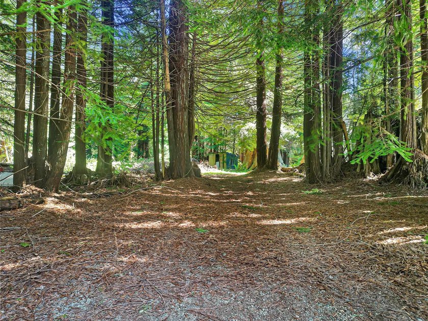 Discover the perfect blend of privacy and convenience with this - Beach Lot for sale in Crescent City, California on Beachhouse.com