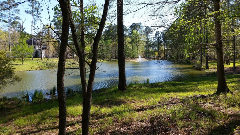 Beauftiful nicely wooded lot directly on the lake with a view of - Beach Lot for sale in Chocowinity, North Carolina on Beachhouse.com