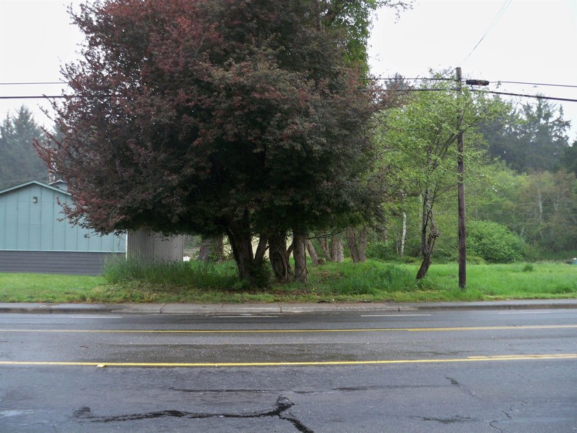 This property is located on Elk Valley Road and is ideal for a - Beach Commercial for sale in Crescent City, California on Beachhouse.com