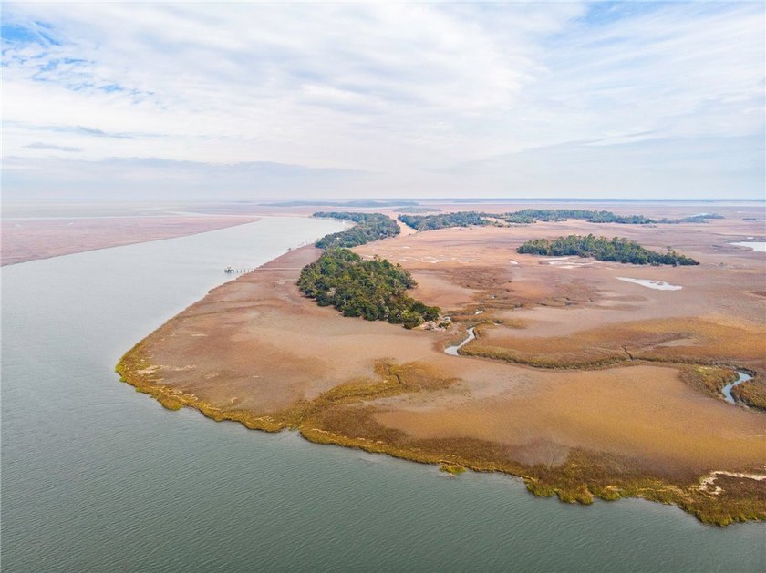 Private Island Offering ~ Lower Bar Boar Island, Georgia. 
Now - Beach Acreage for sale in Townsend, Georgia on Beachhouse.com