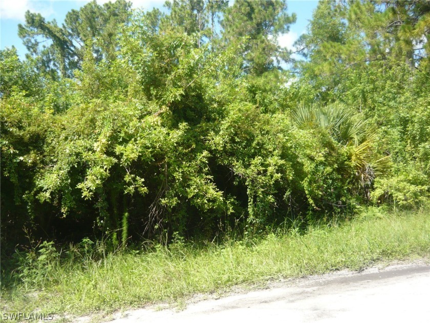 If you are looking for an oversized lot, situated on a fresh - Beach Lot for sale in Lehigh Acres, Florida on Beachhouse.com