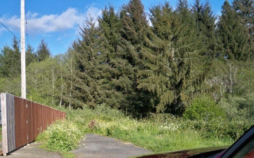 This lot can be an inexpensive investment for future development - Beach Lot for sale in Crescent City, California on Beachhouse.com
