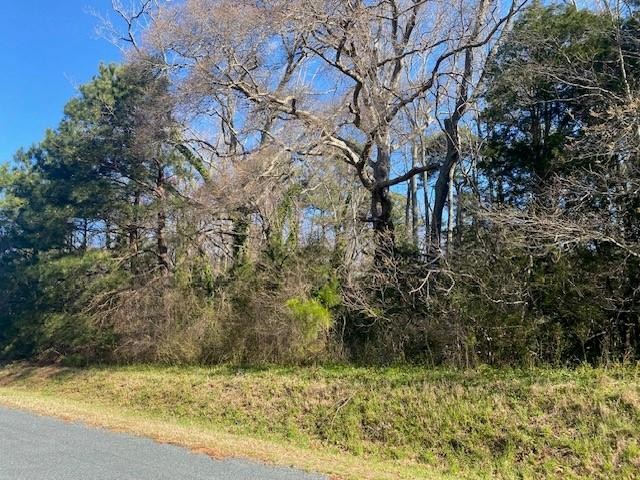 Nice building lot in tucked away Hideaway Cove.  Back of lot - Beach Lot for sale in Jamesville, Virginia on Beachhouse.com