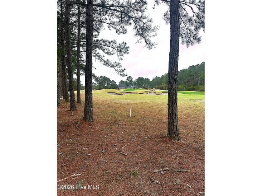 Welcome to Ocean Ridge Plantation, located in one of the most - Beach Lot for sale in Ocean Isle Beach, North Carolina on Beachhouse.com