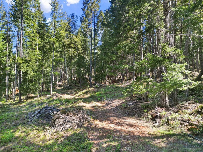Looking for OFF GRID property? Step back in time and enjoy this - Beach Acreage for sale in Crescent City, California on Beachhouse.com