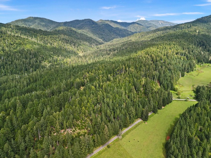 Step back in time and enjoy this safe, secluded and self - Beach Acreage for sale in Crescent City, California on Beachhouse.com
