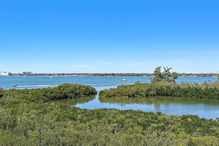 Nestled in a serene location with breathtaking views of Boca - Beach Condo for sale in St. Petersburg, Florida on Beachhouse.com