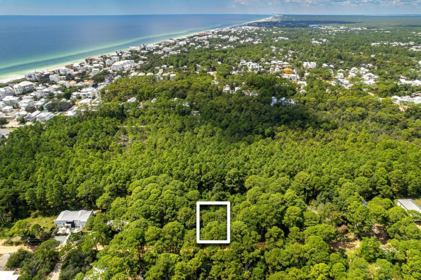 Discover a rare opportunity to own a stunning lot in the heart - Beach Lot for sale in Santa Rosa Beach, Florida on Beachhouse.com