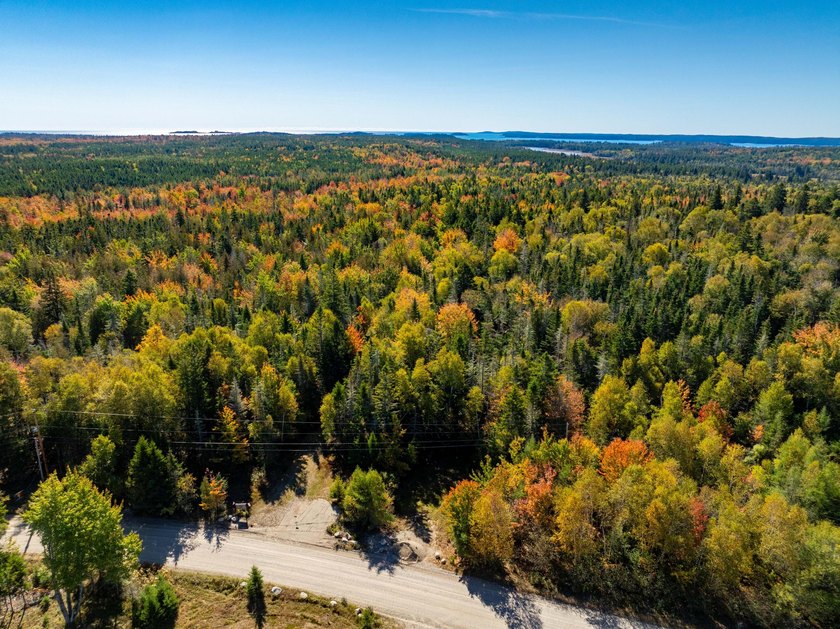 This beautifully treed parcel features a roadway from the - Beach Acreage for sale in Roque Bluffs, Maine on Beachhouse.com