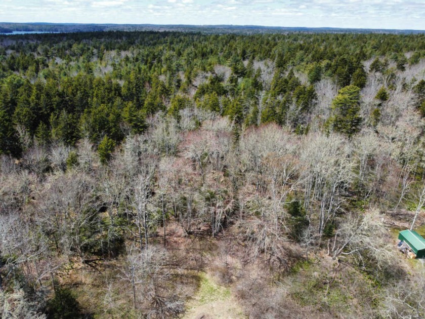 3.3 acre lot close to Pemaquid Harbor. Build your summer or year - Beach Lot for sale in Bristol, Maine on Beachhouse.com