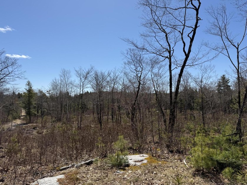 Come pick the perfect spot to build your dream getaway or - Beach Acreage for sale in Bristol, Maine on Beachhouse.com