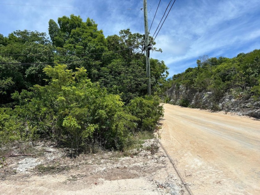 This half acre elevated lot is located in Stella Maris in close - Beach Lot for sale in Stella Maris,  on Beachhouse.com