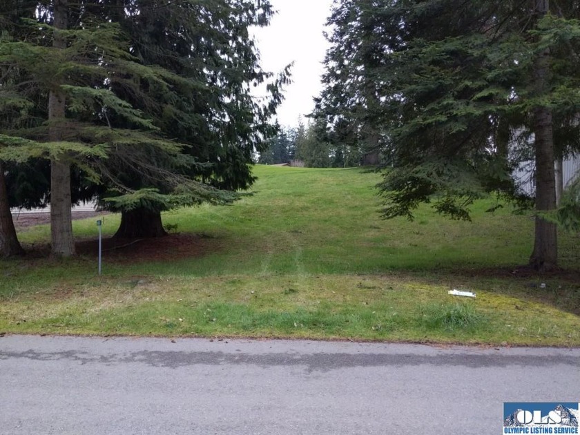 This almost 1/4 ac lot slopes up to the out of bound markers on - Beach Lot for sale in Sequim, Washington on Beachhouse.com