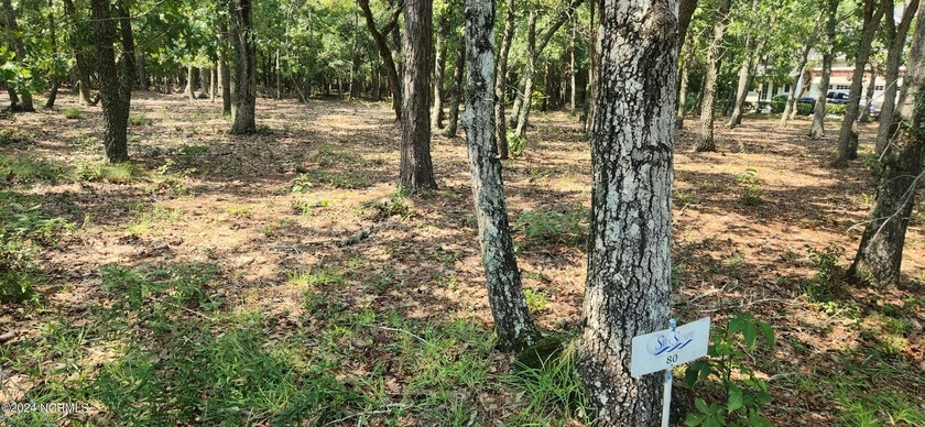 GREAT THANKSGIVING 2025 GIFT TO GIVE YOUR FAMILY, and one of the - Beach Lot for sale in Holden Beach, North Carolina on Beachhouse.com