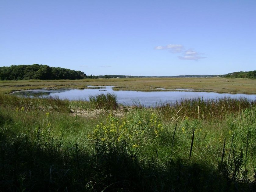 Southeast winds are predominant in the summertime. You'll be - Beach Acreage for sale in Parksley, Virginia on Beachhouse.com