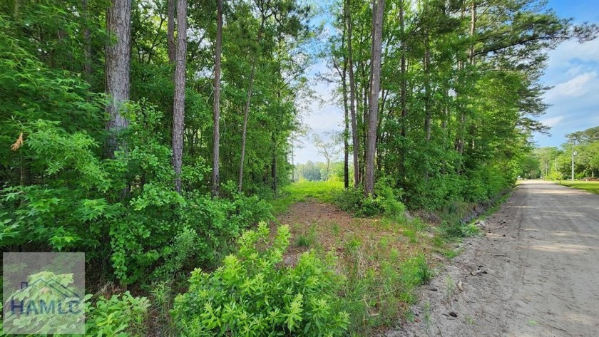 Lake front lots on Carlyene Drive. Wooded area, paved road - Beach Lot for sale in Midway, Georgia on Beachhouse.com