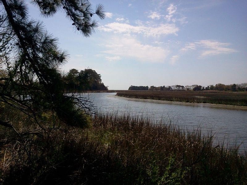 Emerge from winter doldrums with a latitude adjustment at Long - Beach Acreage for sale in Parksley, Virginia on Beachhouse.com