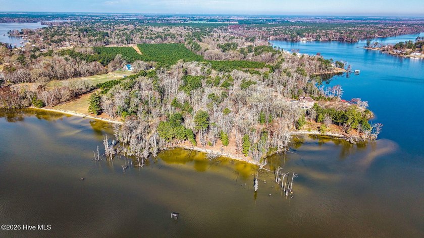 Discover the perfect setting to build your dream waterfront - Beach Acreage for sale in Hertford, North Carolina on Beachhouse.com