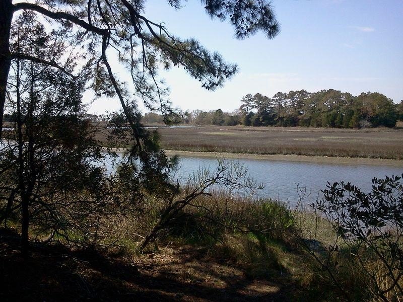 Moon rolls a silver cloud across the creek a gentle uplift to a - Beach Acreage for sale in Parksley, Virginia on Beachhouse.com
