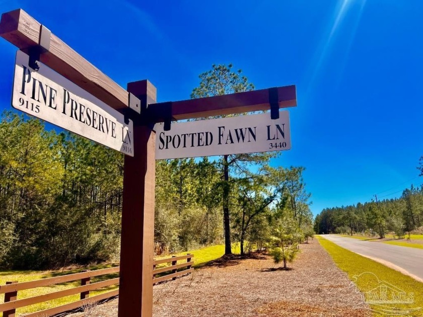 Discover the beauty of NatureWalk at Pond Creek. Lot 33 is a - Beach Acreage for sale in Pace, Florida on Beachhouse.com