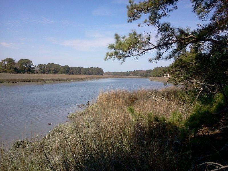 Warm breezes are floating from the creek, a perfect setting for - Beach Acreage for sale in Parksley, Virginia on Beachhouse.com