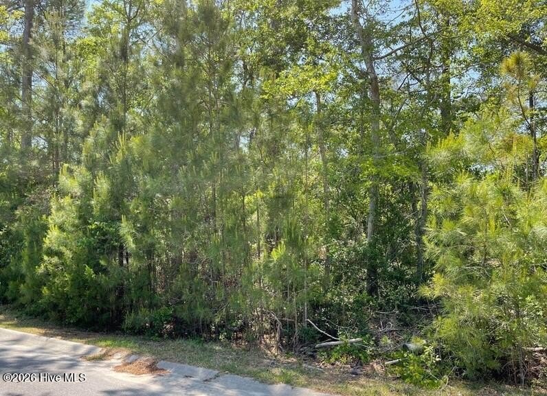 Here's your chance to build your beautiful beach getaway or your - Beach Lot for sale in Supply, North Carolina on Beachhouse.com