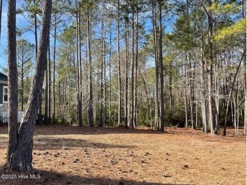 Rare Private Nature Preserve homesite with sneak peeks of #13 - Beach Lot for sale in Ocean Isle Beach, North Carolina on Beachhouse.com