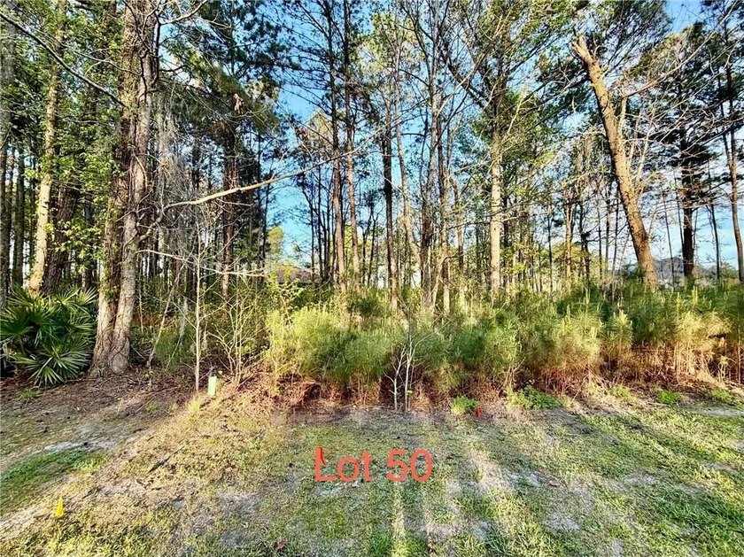 Beautiful buildable lot located in Sanctuary Cove, Waverly's - Beach Lot for sale in Waverly, Georgia on Beachhouse.com