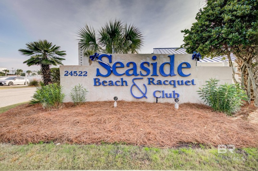 Seller is PAYING $5000 towards Closing Costs or Rate Buy Down! - Beach Home for sale in Orange Beach, Alabama on Beachhouse.com