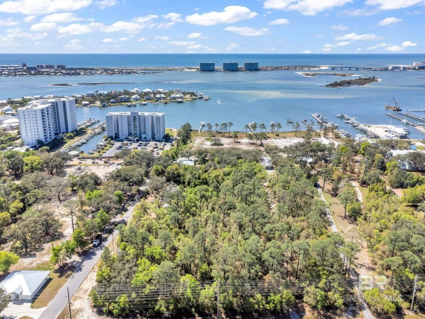 A VERY RARE FIND! Build your dream property on one of the LAST - Beach Acreage for sale in Orange Beach, Alabama on Beachhouse.com