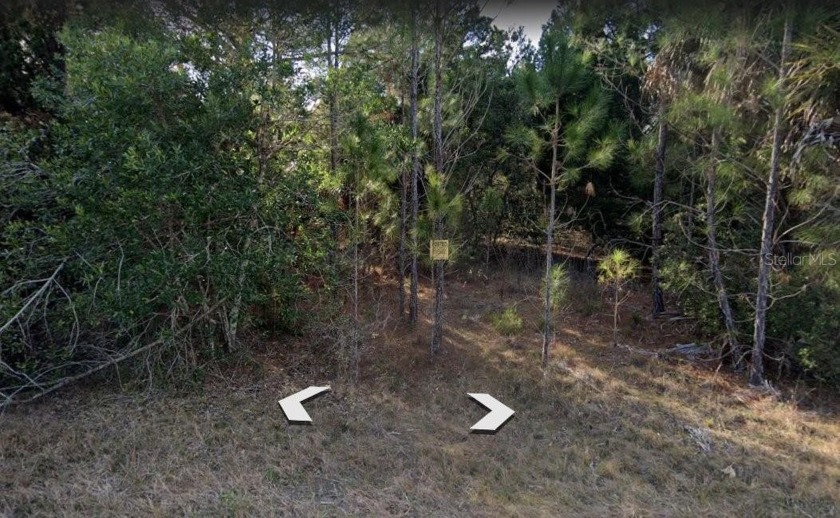 This is an incredibly beautiful lot to build your new dream - Beach Lot for sale in Weeki Wachee, Florida on Beachhouse.com