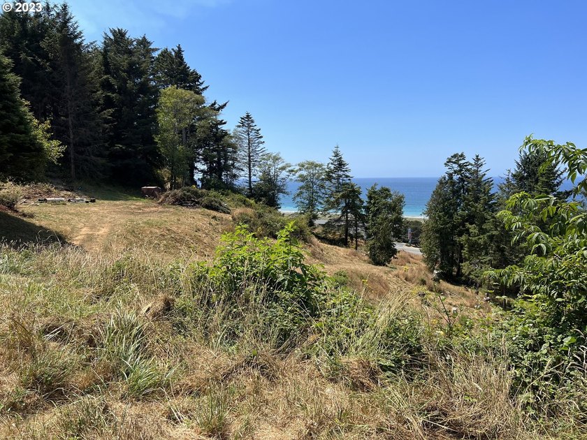 Stunning Ocean View Property on 3.83 Acres - Coastal Living with - Beach Acreage for sale in Gold Beach, Oregon on Beachhouse.com