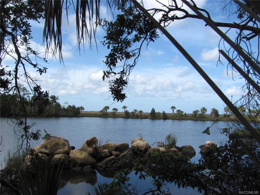 Platted as 121 Acres on the Crystal River along with - Beach Acreage for sale in Crystal River, Florida on Beachhouse.com