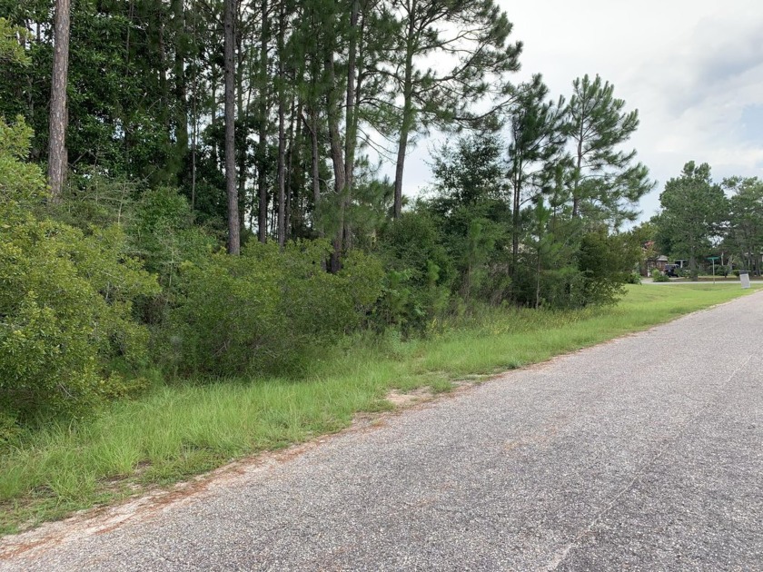 Last lot on Knotty Pine! Underground utilites; Uplands is .43; - Beach Lot for sale in Navarre, Florida on Beachhouse.com