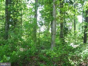 2/113 Wooded golf Course Lot in Captains Cove that looks out - Beach Lot for sale in Greenbackville, Virginia on Beachhouse.com