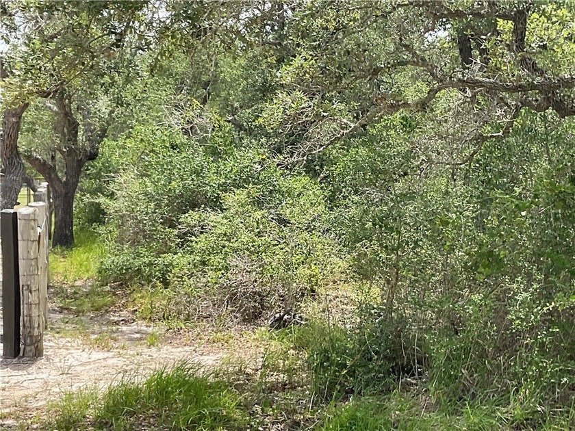 Beautiful private loaded with oak trees, no flood zone - Beach Lot for sale in Rockport, Texas on Beachhouse.com