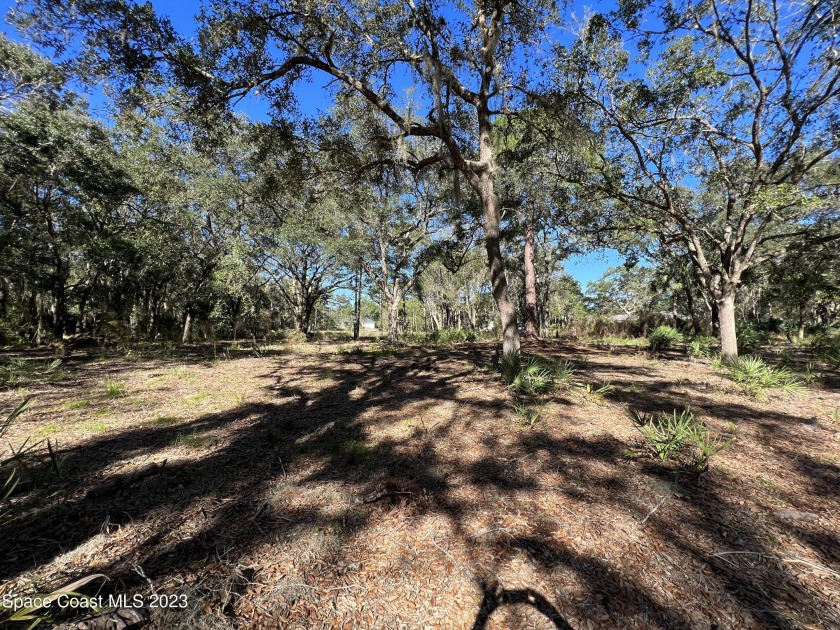 This secluded 2.6 acre flag lot is ready for a new home. The - Beach Acreage for sale in Mims, Florida on Beachhouse.com