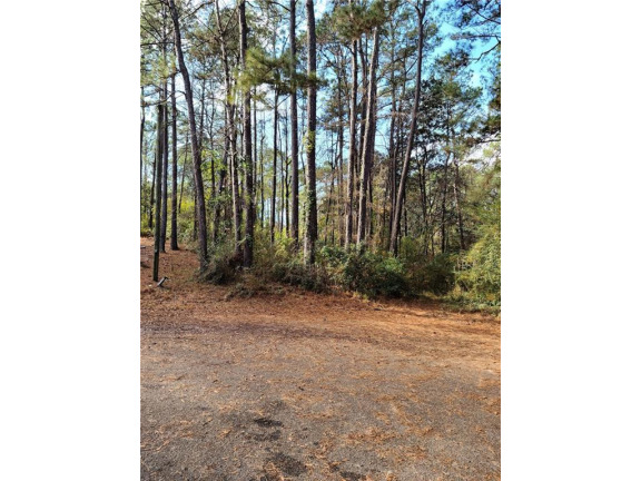 This is a unique Lot in Lake Forest. Beautiful, treed with - Beach Lot for sale in Daphne, Alabama on Beachhouse.com