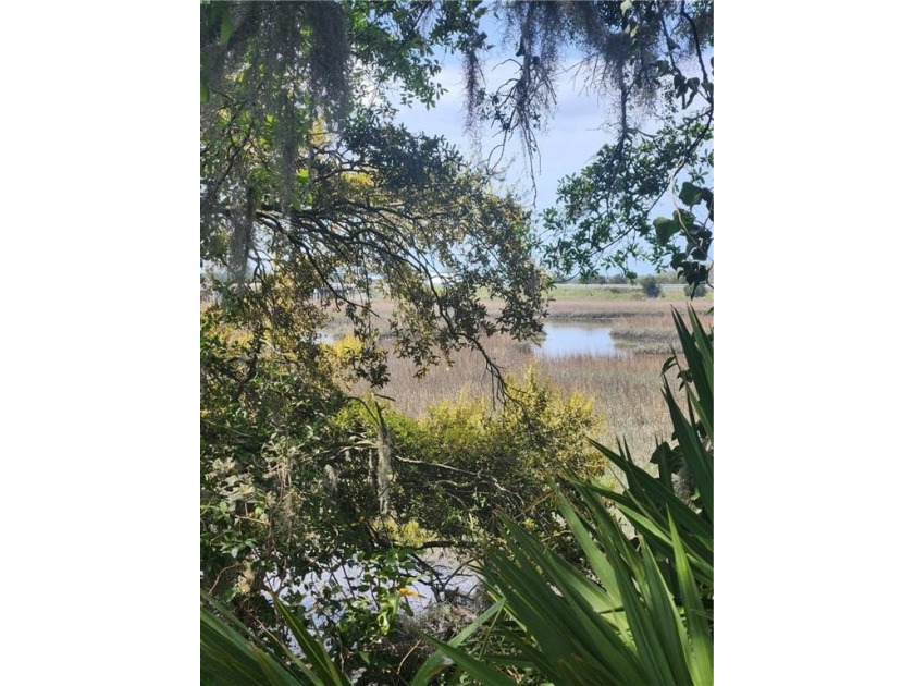 Welcome to 160 Glyndale Circle in Brunswick, GA-a unique and - Beach Home for sale in Brunswick, Georgia on Beachhouse.com