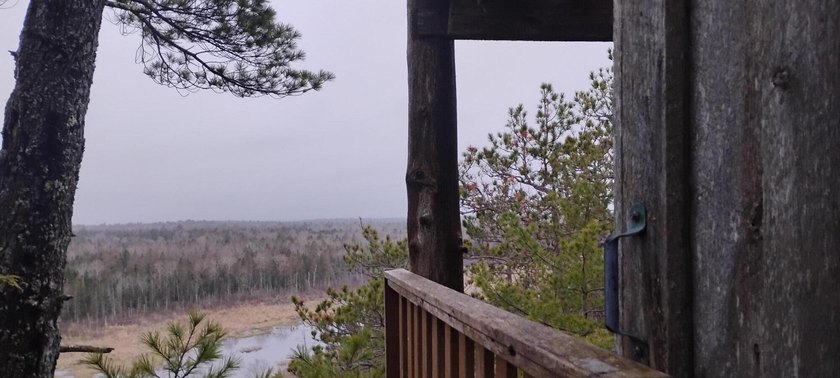 Rural Retreat! Overlooking Meadow Brook, rustic cabin sits on - Beach Acreage for sale in Pembroke, Maine on Beachhouse.com