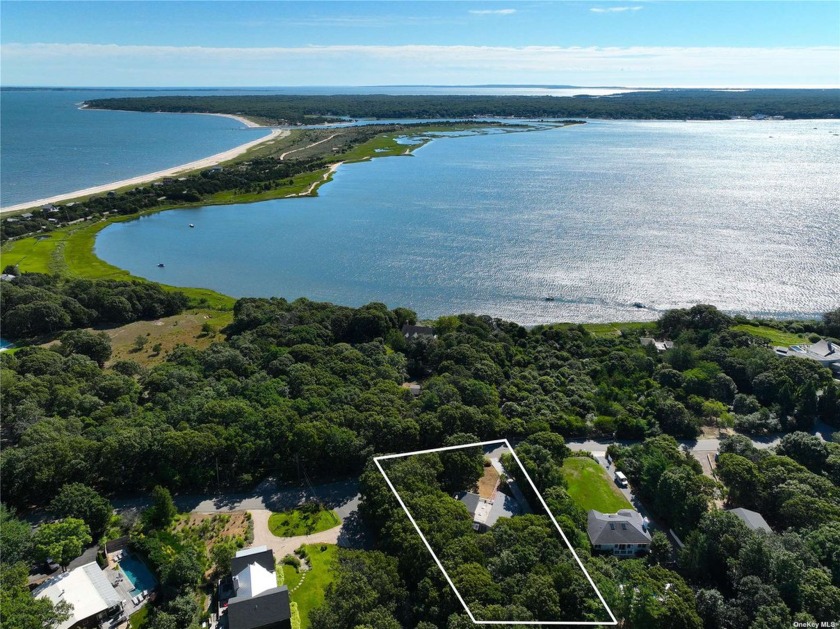 Ideally nestled on a private shy 3/4 acre lot, in the highly - Beach Home for sale in East Hampton, New York on Beachhouse.com