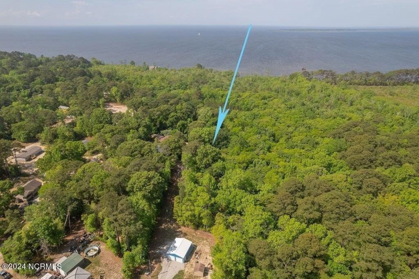 Check out this property tucked away within the wooded Albemarle - Beach Lot for sale in Jarvisburg, North Carolina on Beachhouse.com