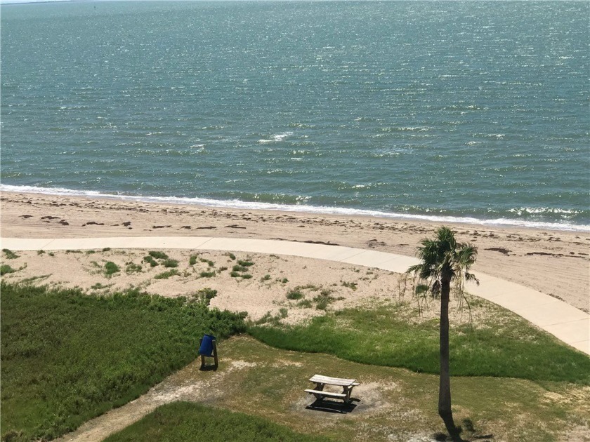 Sunshine...Sandy Toes...Sunrises...Sunsets! This beautiful and - Beach Condo for sale in Corpus Christi, Texas on Beachhouse.com