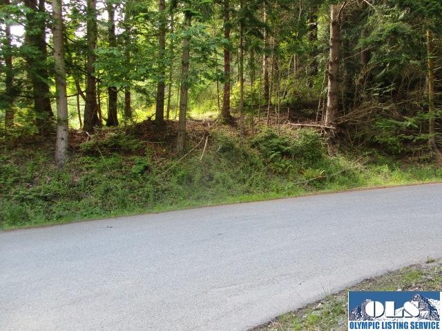 12 adjoining lots in Discovery Bay Village including 8 paid - Beach Acreage for sale in Port Townsend, Washington on Beachhouse.com