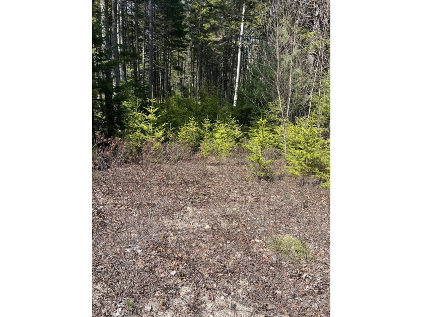 Discover the beauty of coastal Maine with this exceptional 3.36 - Beach Acreage for sale in Steuben, Maine on Beachhouse.com