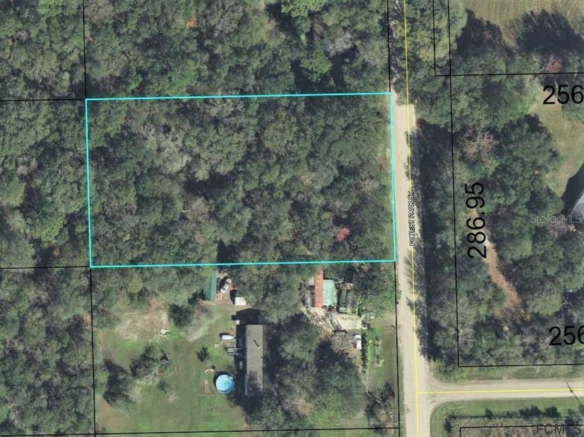 Nice 165x300'' county lot. Zoned for a manufactured home or site - Beach Lot for sale in Bunnell, Florida on Beachhouse.com