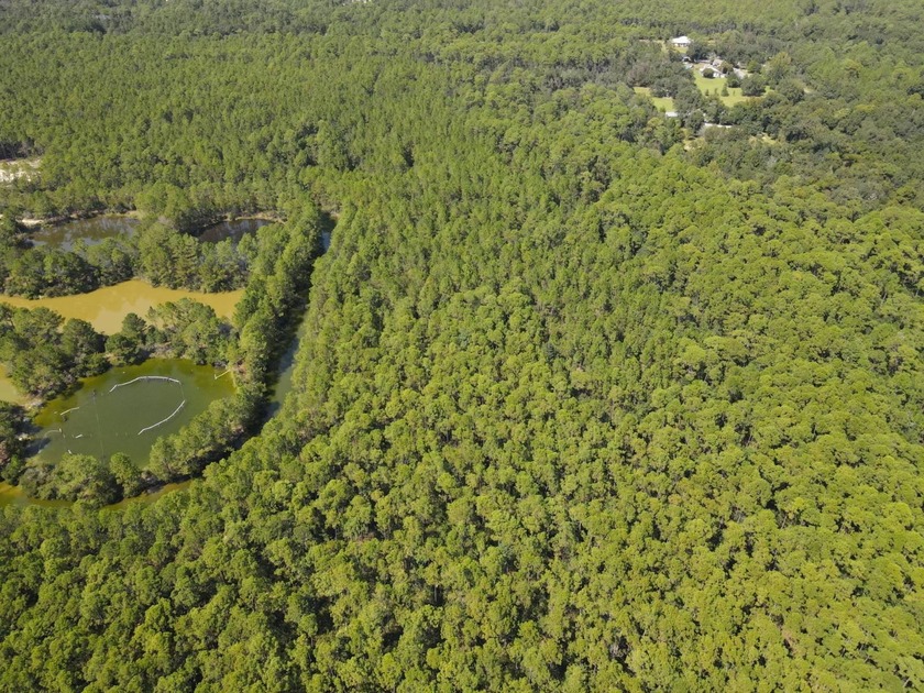 THIS 13+- ACRE TRACT IN PASS CHRISTIAN, MISSISSIPPI, OFFERS A - Beach Acreage for sale in Pass Christian, Mississippi on Beachhouse.com