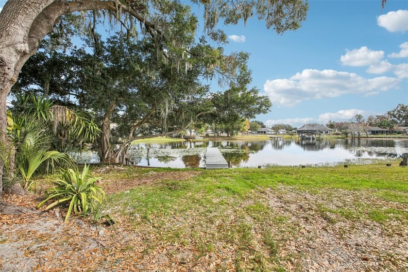 One or more photo(s) has been virtually staged. Experience the - Beach Home for sale in Land O Lakes, Florida on Beachhouse.com